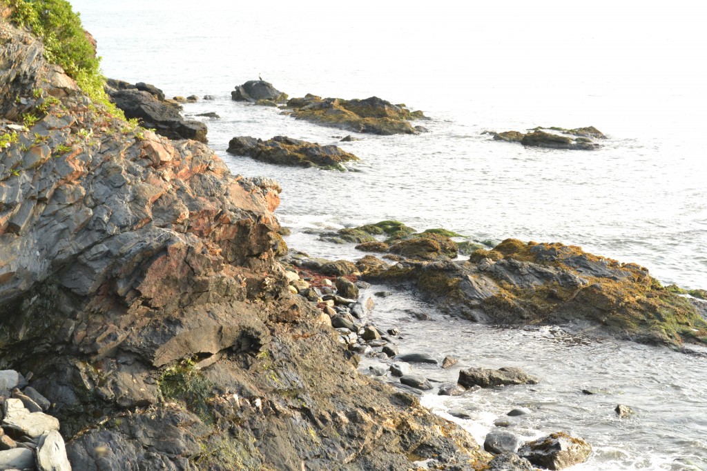 More Cliffs at Cliff Walk