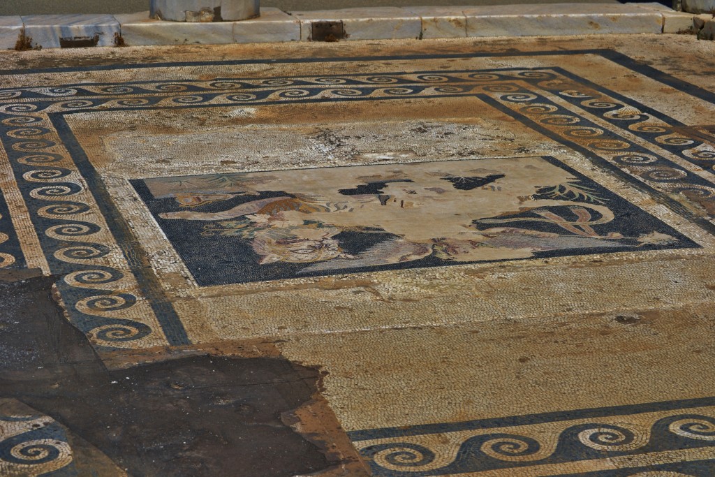 D6 Amazing Tile Floor in Delos