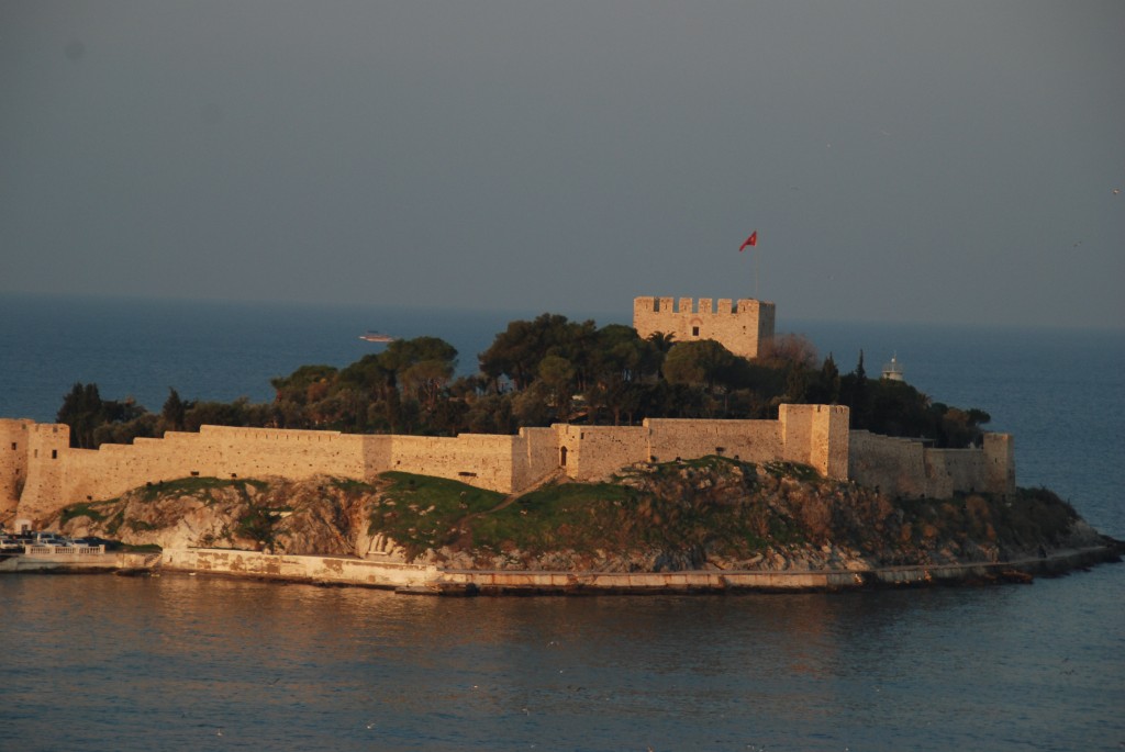 8 DSC_0895