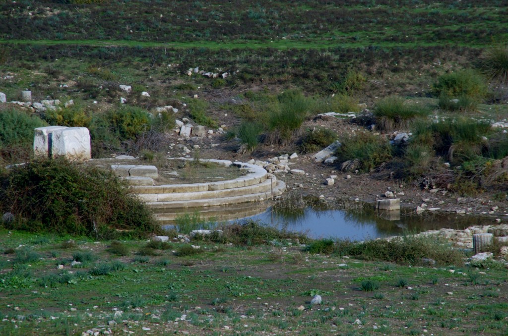 DSC_1062, More ruins in Miletus