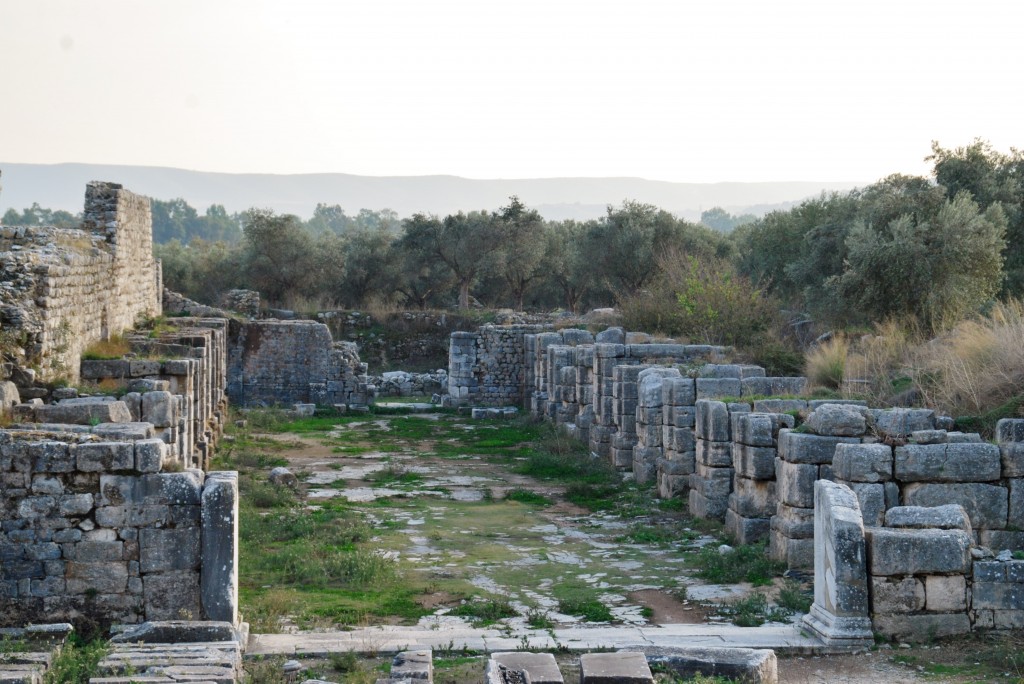 DSC_1081 -Faustina Baths