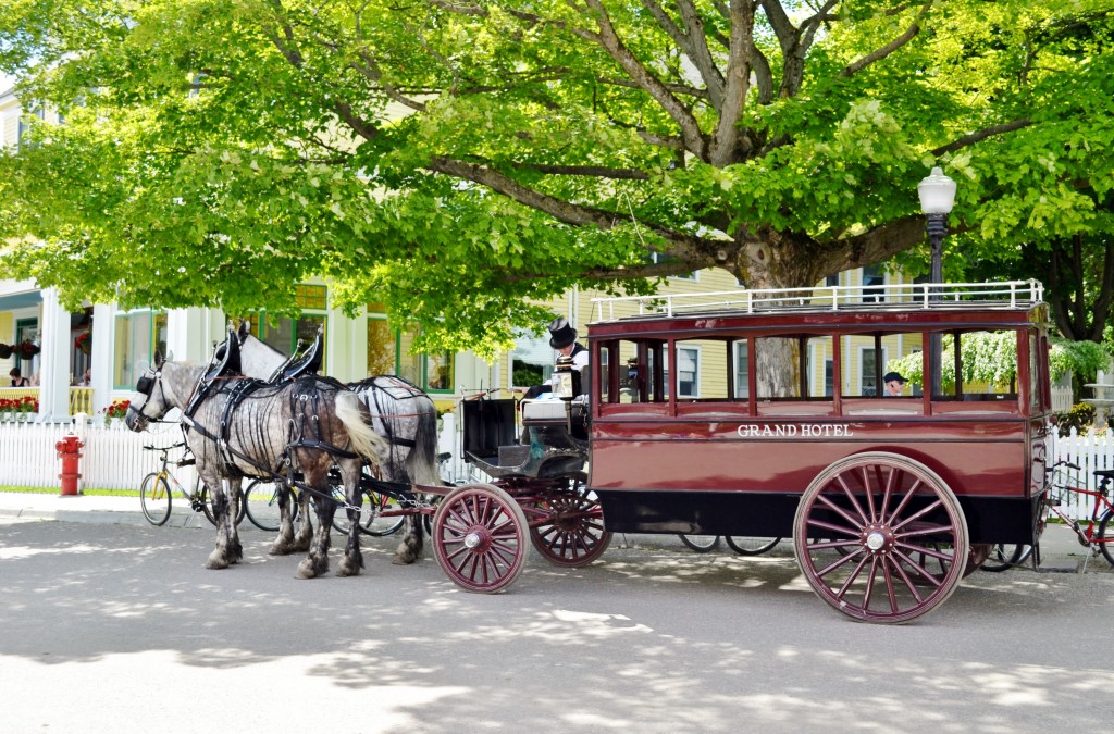 13 54 Horse Carriage of Grand Hotel