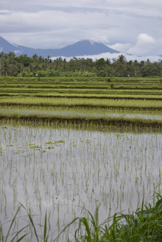 D3 Incredible View of Bali