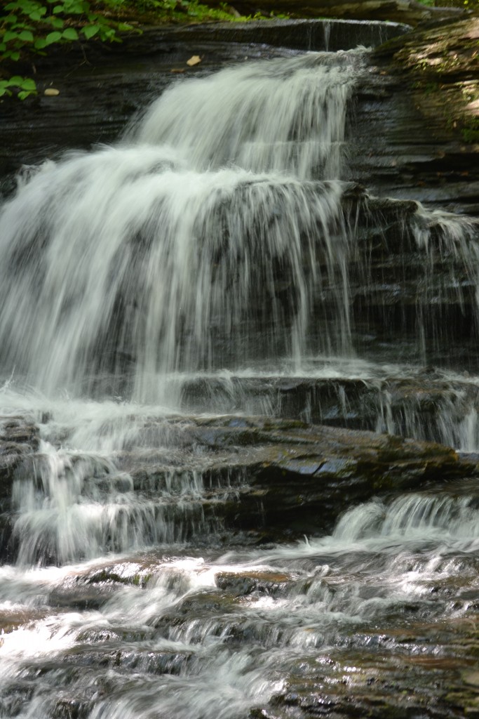 DSC_1464 - Harrison Wright Falls