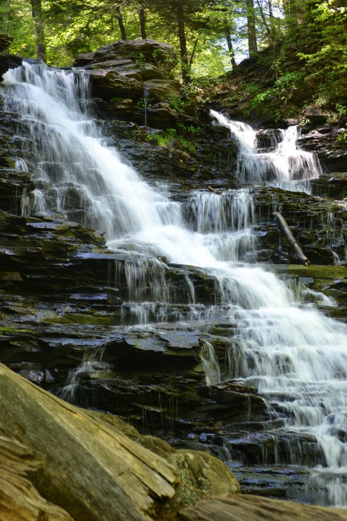 DSC_1473 - F.L. Ricketts Falls