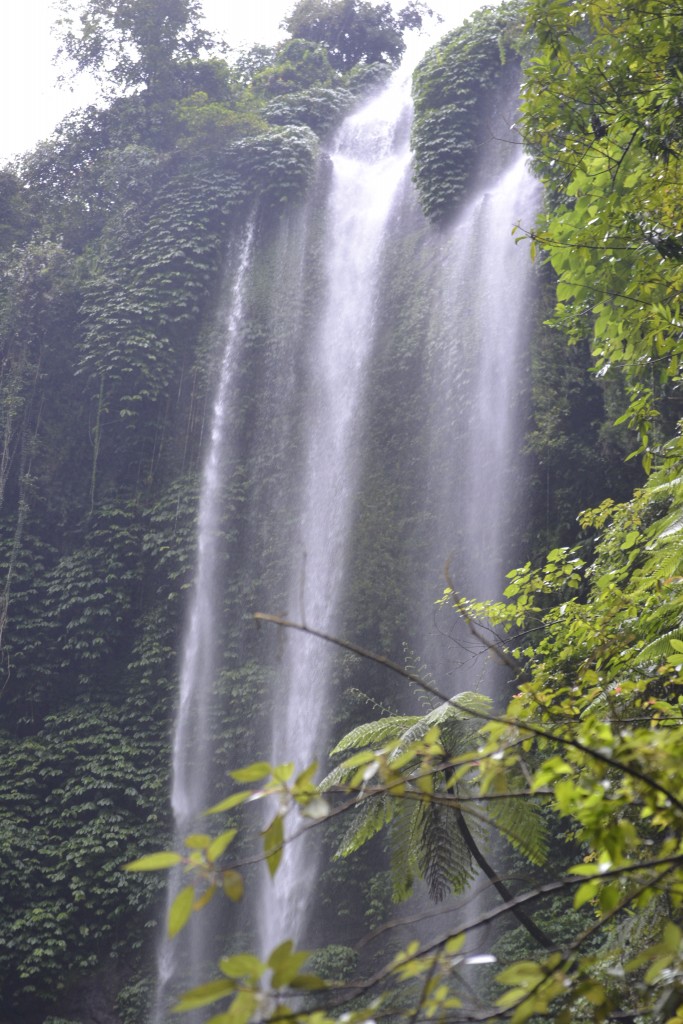 44 130104, A Waterfall worth the hike