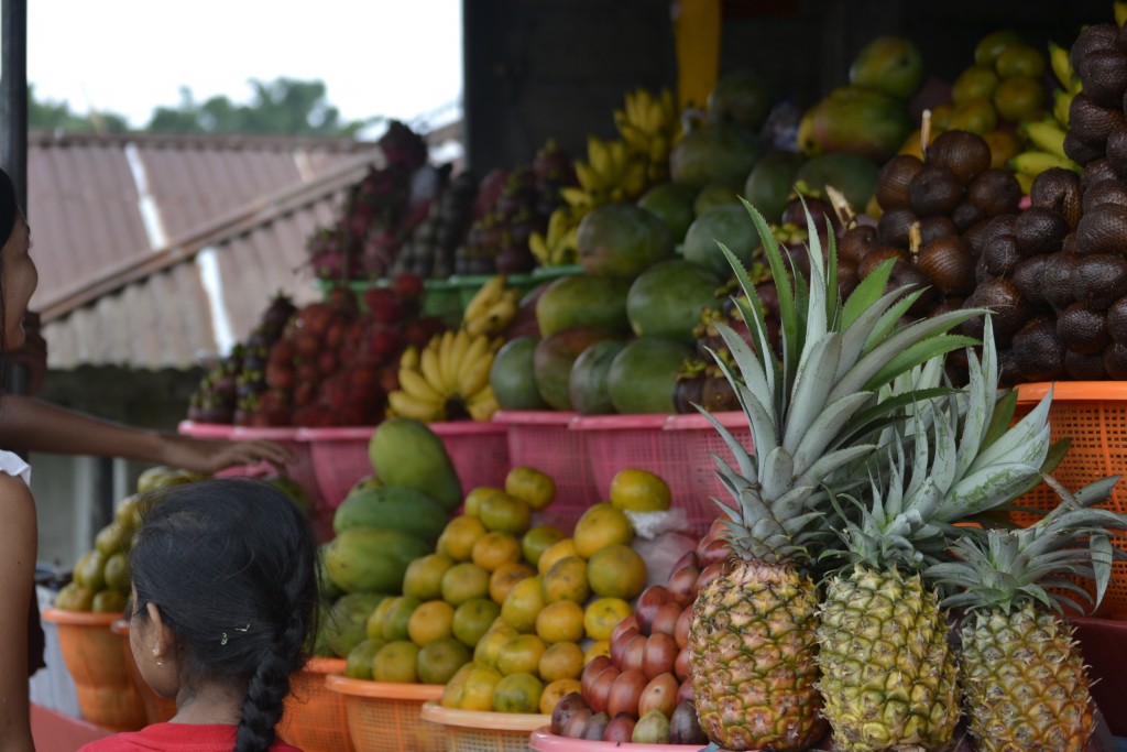 59 D8 Fruit Stand near Mt. Batur, 1.6.13