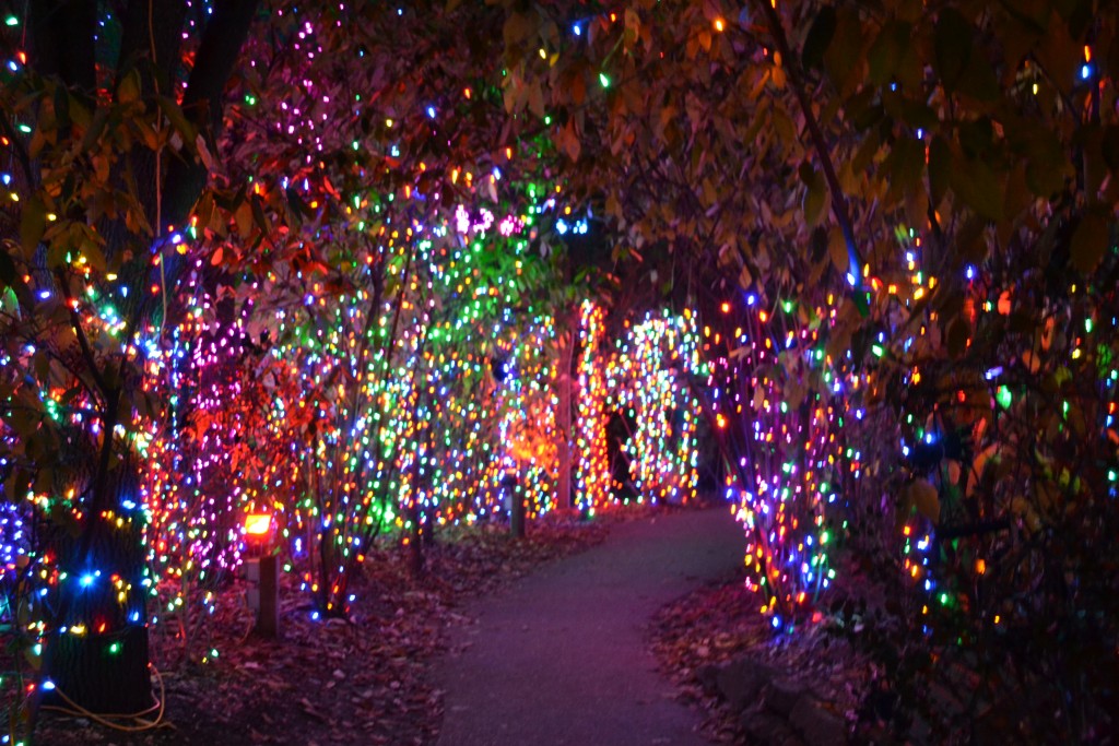 +111226, Colorful Entrance, Columbus Zoo, 2011