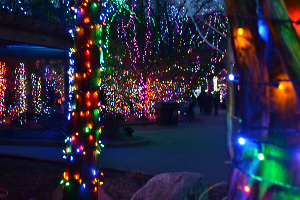 +122611 Zoo Lights, Columbus Zoo, 2011, 1
