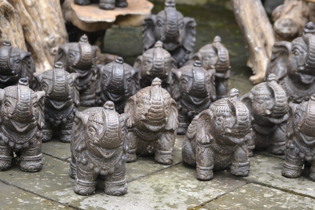 80 D9 Elephant Souvenirs at Bali Zoo, 1.7.13