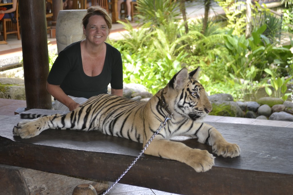 86 130107, D9 Me and the Tiger Cub, Bali Zoo, 1.7.13