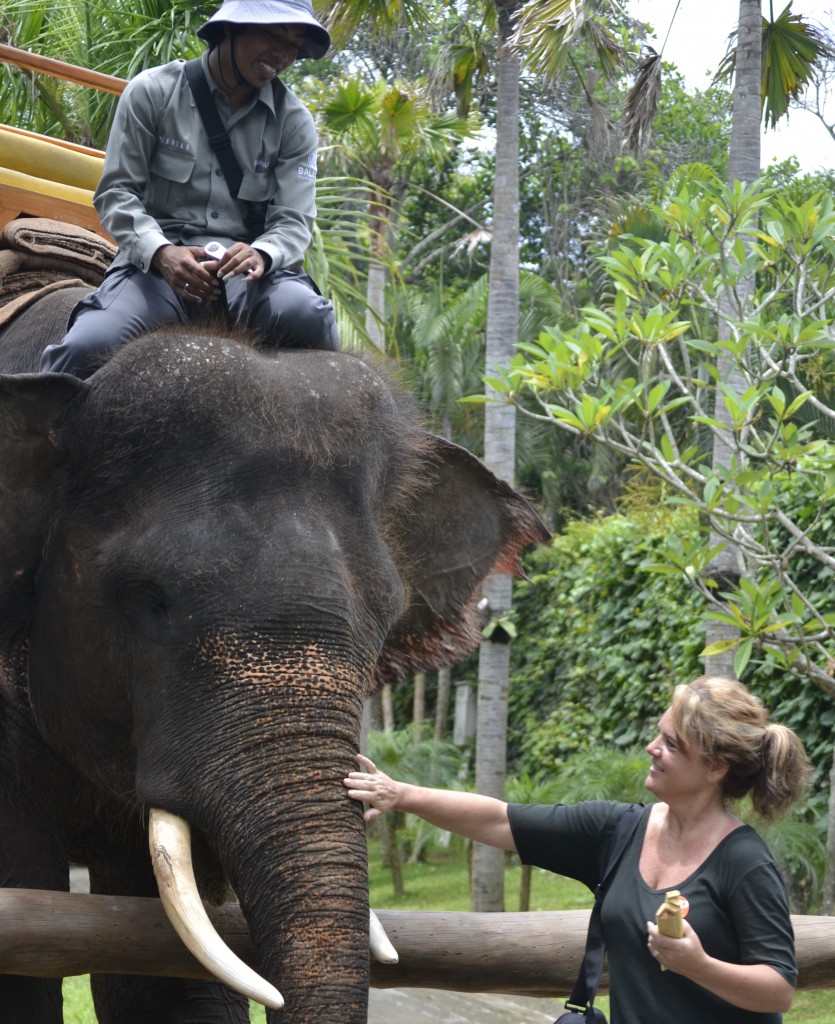 D9, Feeding the Elephant, 1.7.13