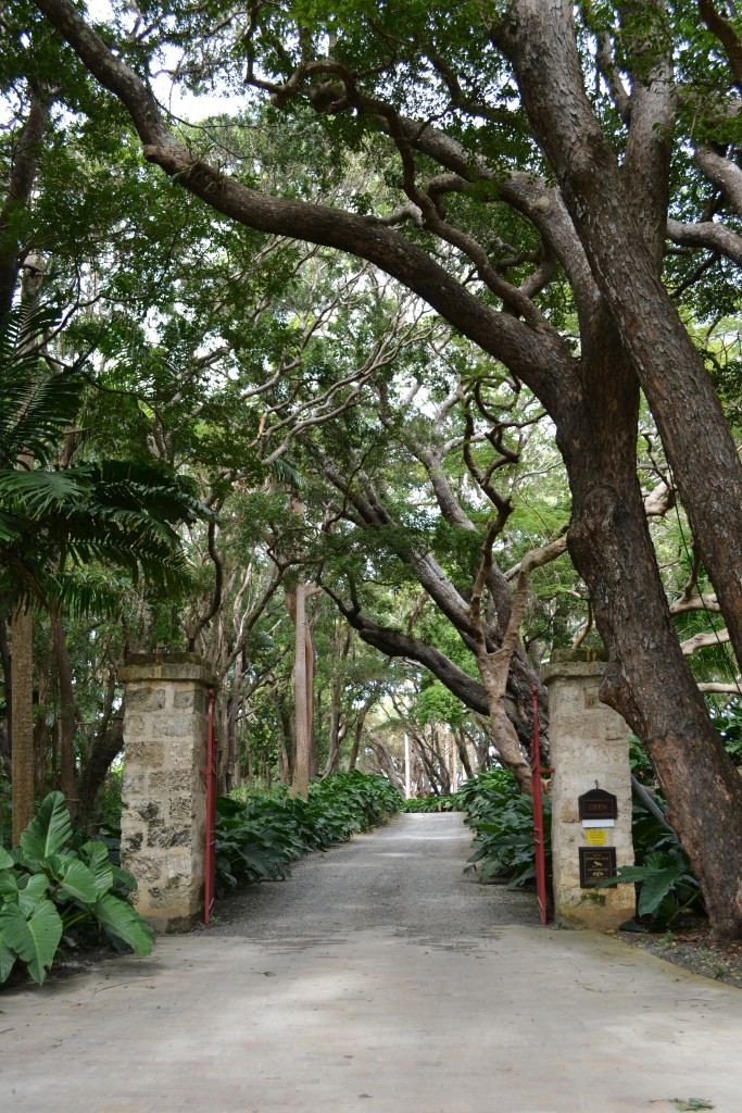 18 The Entrance to St. Nicholas Abbey Plantation, Barbados, 1.27.16