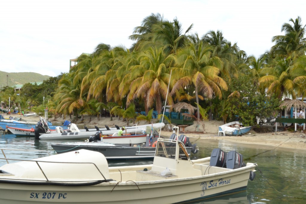 5 Sites from the Walkway, St. Maarten, 1.30.16