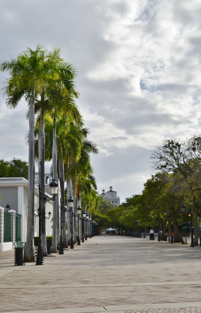 5 Tree Lined paseo de la Princesa, SJ, PR, 1.24.16