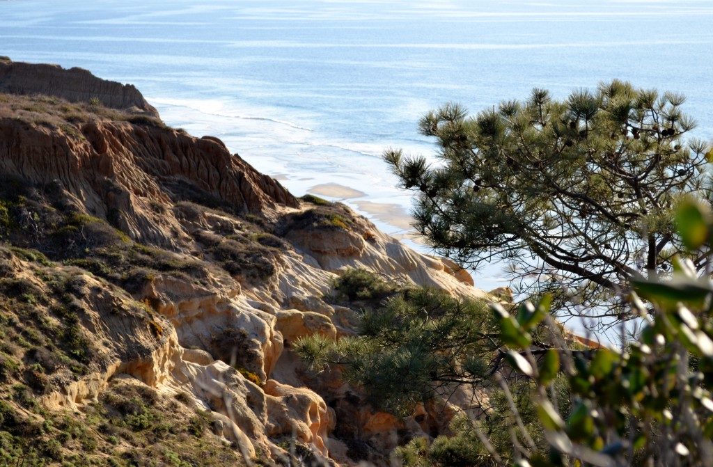 11 View of Pacific at Torrey Pines