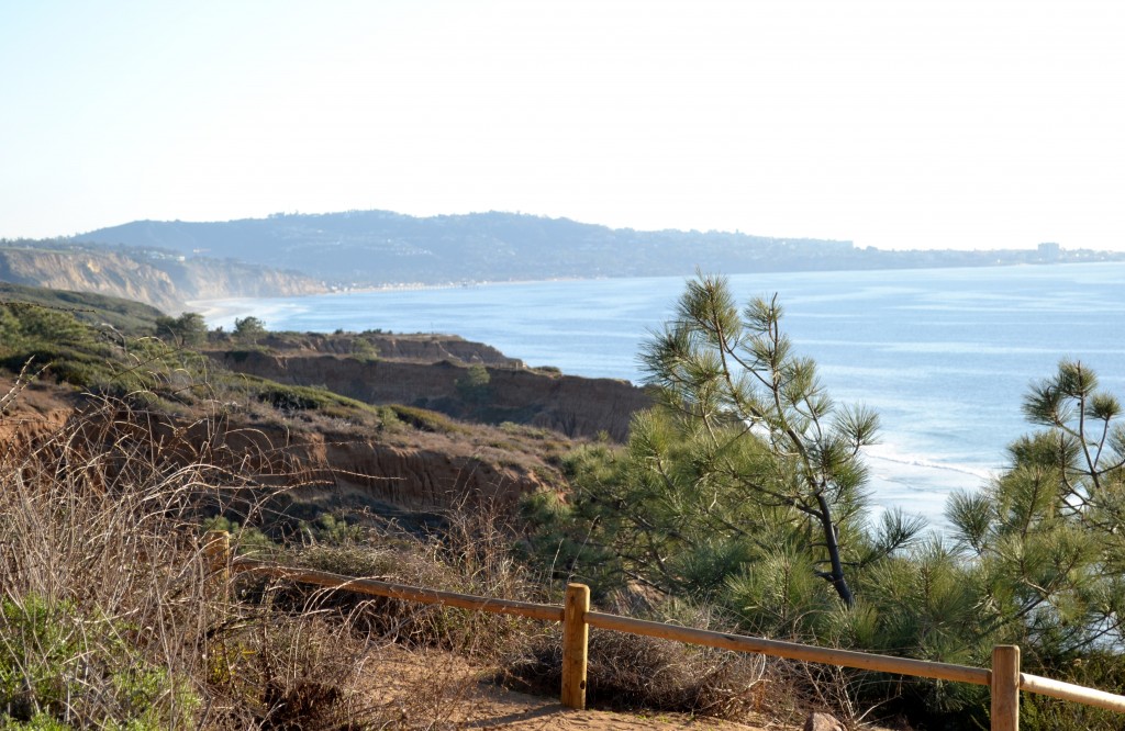 15 View for the Torrey Pines Path
