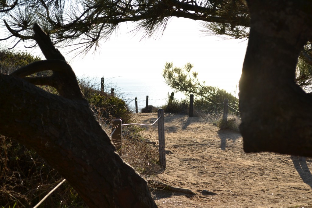 17 Beautiful View of Ocean and Path, TPSP