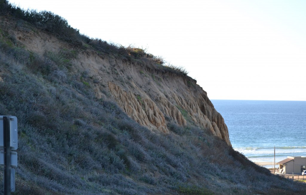 3 ZState Park, San Diego