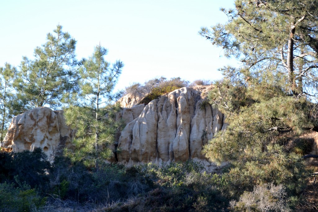 7 Rock Formations Torrey Pines