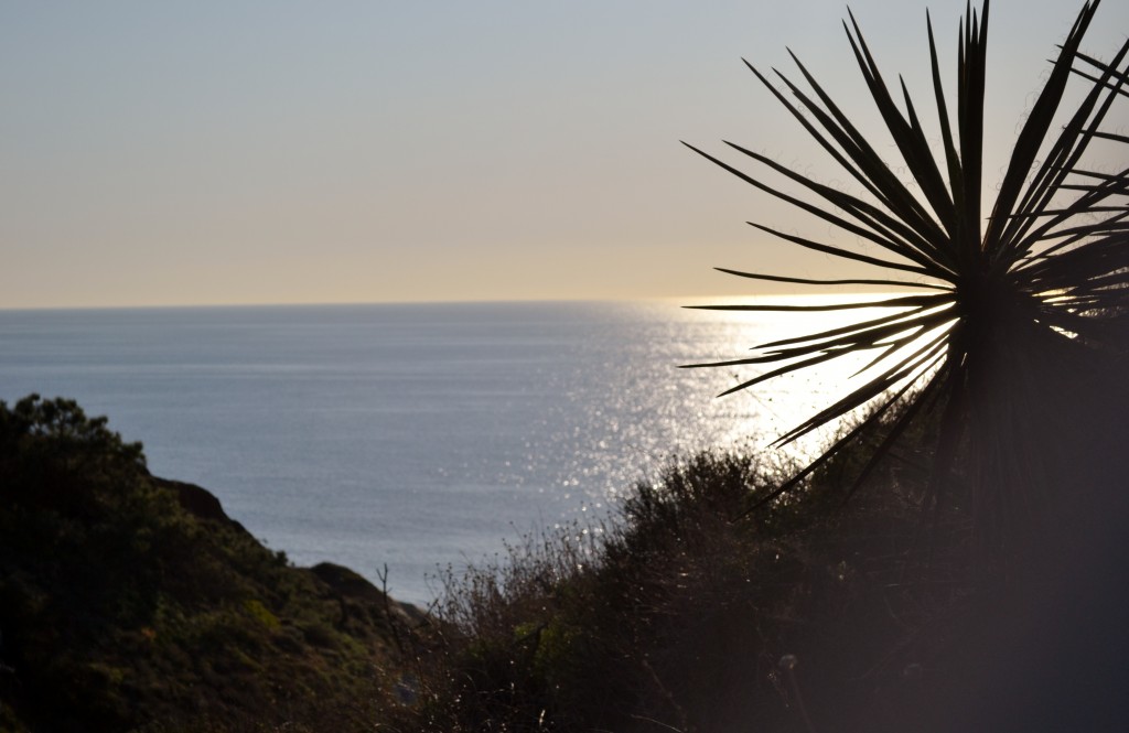 8 111207 Light Shadow, Torrey Pines