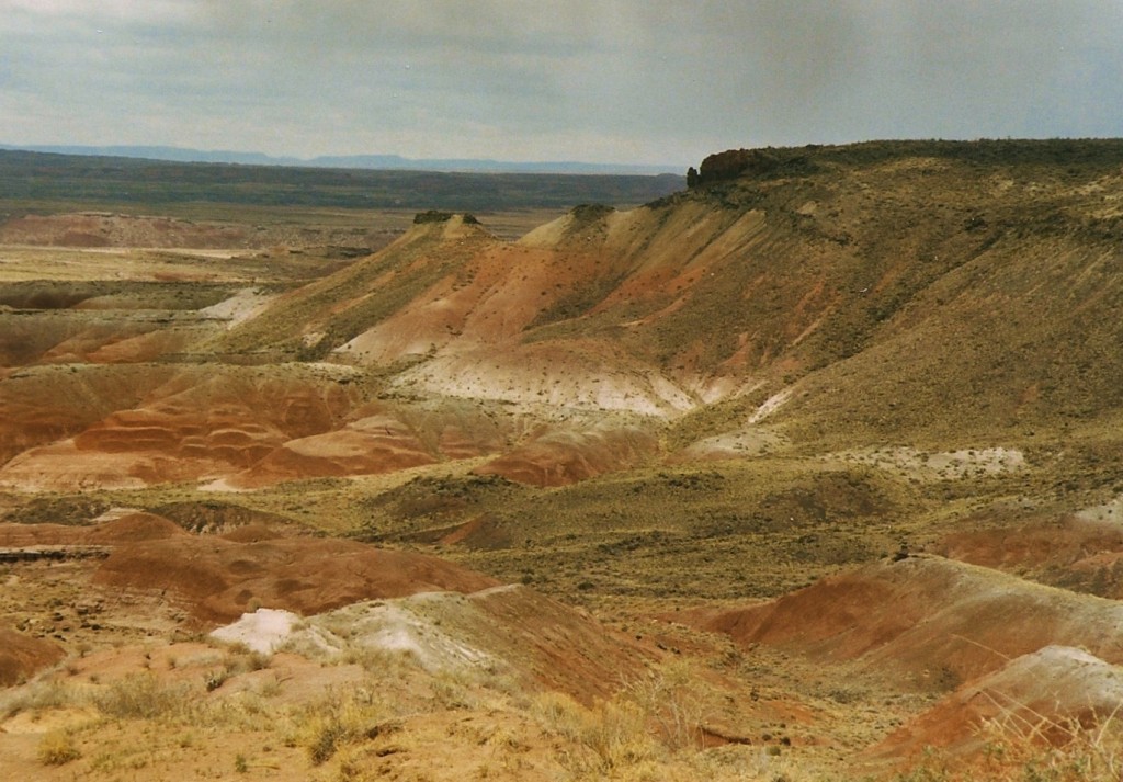 000 painted desert