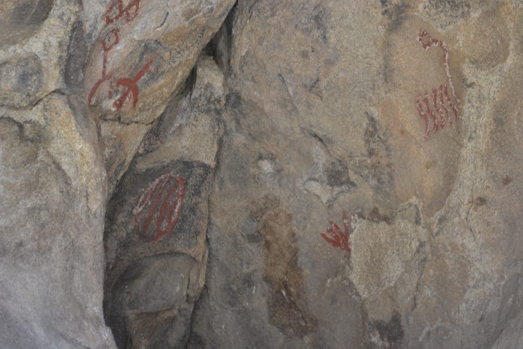 14 Petroglyphs on the Barker Dam Trail