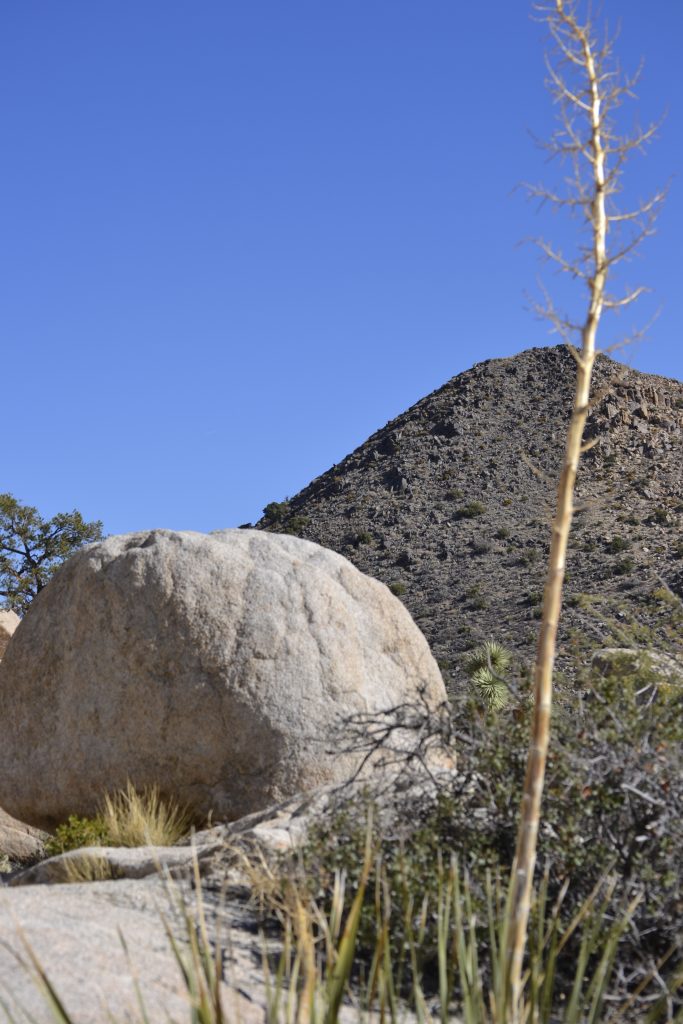 8 Landscape on the Barker Dam Trail