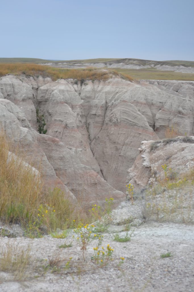 3 The Badlands and its vegetation